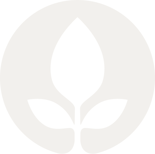 Web Courses Bangkok school mark
